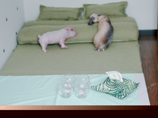 南北一号阳台绿色间