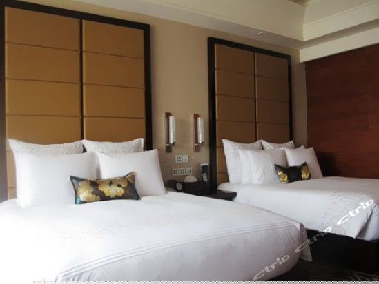 酒店房型