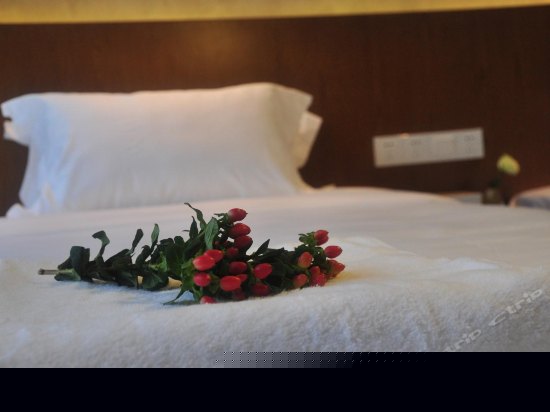 竹宇（雅致双床房）