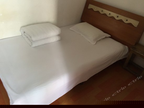 普通单人间(公卫）