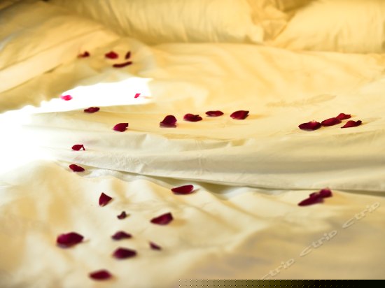 豪华独院家庭套房