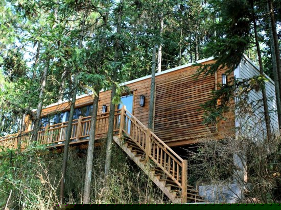 营地博览园杉林特色屋