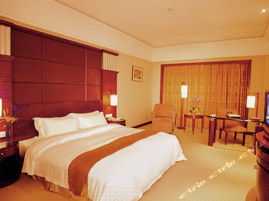 豪华客房