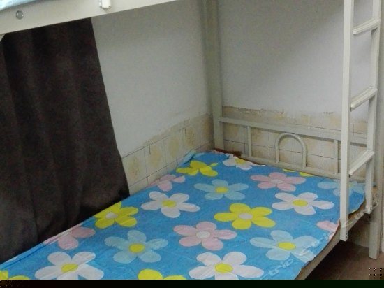 男生四人床位房