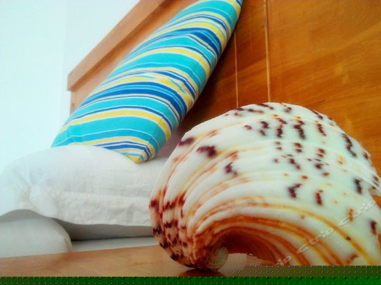 山景日落双标房