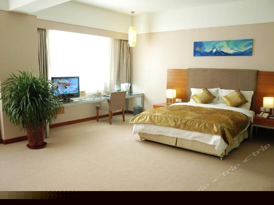豪华商务大床间