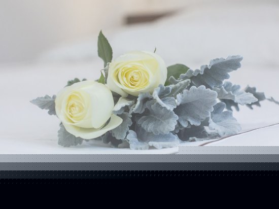 渥丹私享庭院spa套房