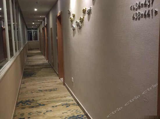 高级园景双床房