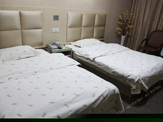 标准双人间