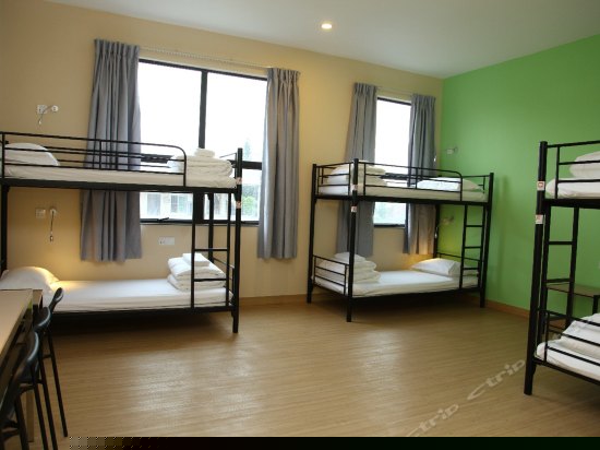 多人间（床位房）