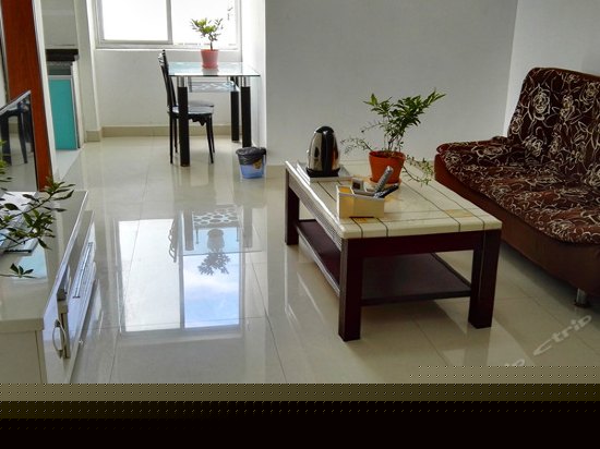 公寓一室一厅阳台大床房