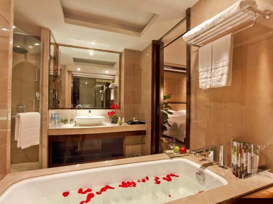豪华商务房