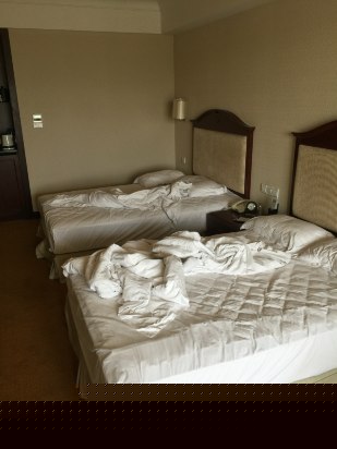 酒店房型