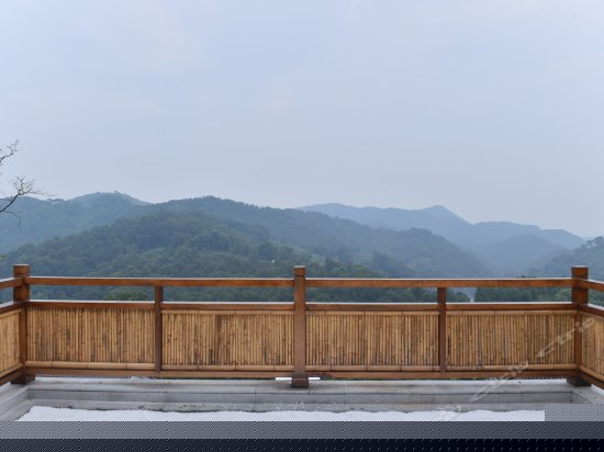 禅悦