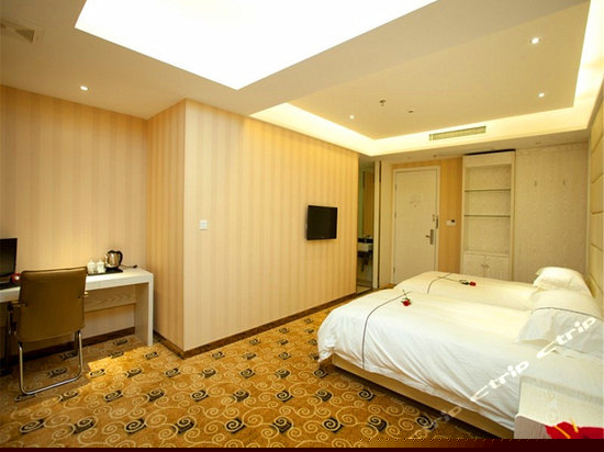 高级双床房