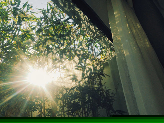 蒲林-庭院大床房