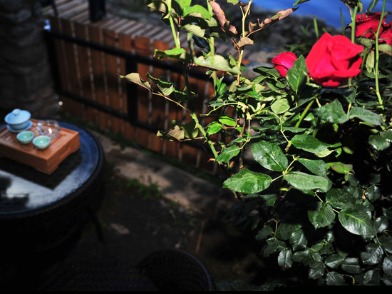 海景花园大床房