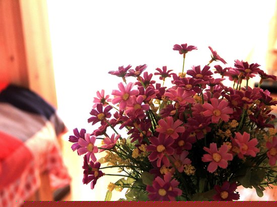 江景星空小木屋