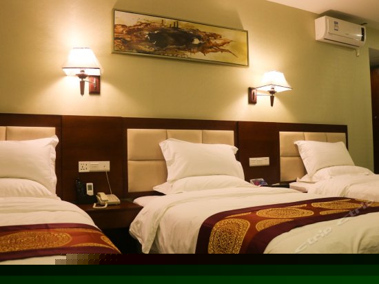 标准三人房（无窗）