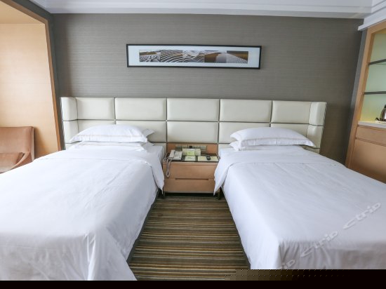 豪华双床房