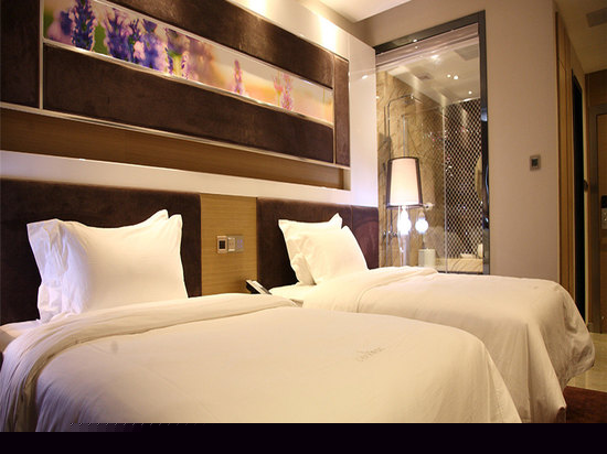 豪华双床房