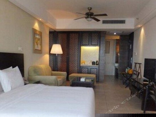 雨林景观大床房