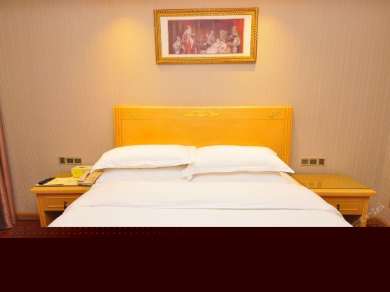 标准单人房(无窗)