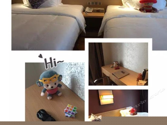 品乐豪华双床房