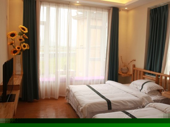 阳光舒适标准间