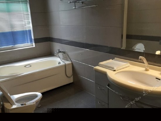 收藏家别墅套房