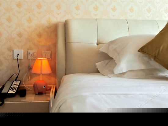 柠檬树休闲温馨亲子房