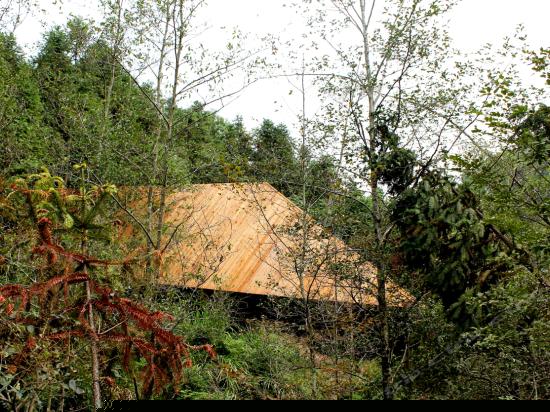 树屋世界望花筒