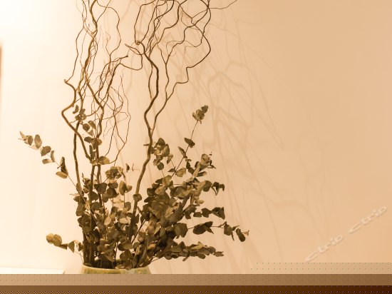 禅意大床休闲房