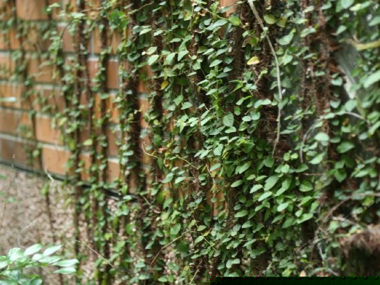 双人雅房（公卫）