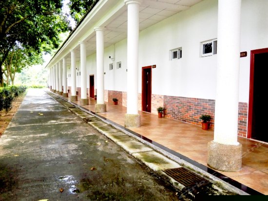 宝岛风情双床间