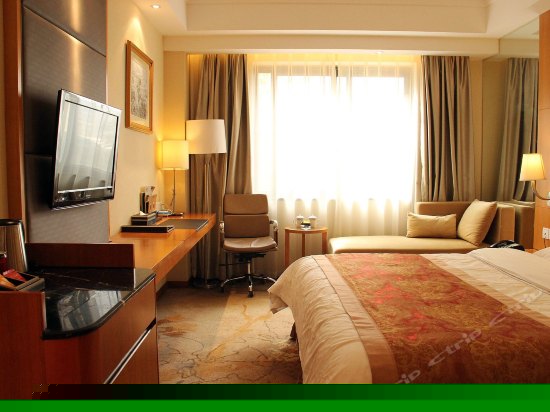 普通单人欧式园景大床房