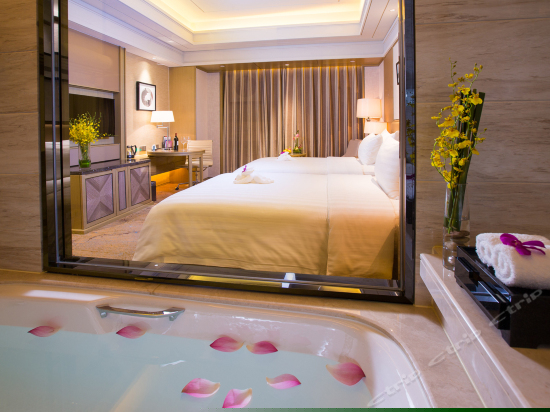 高级市景双床房