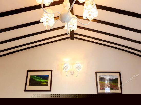 商务大床房（花园景观）