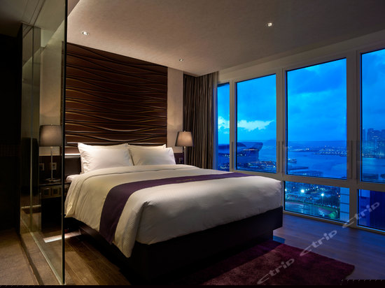 维港景尊贵大床房