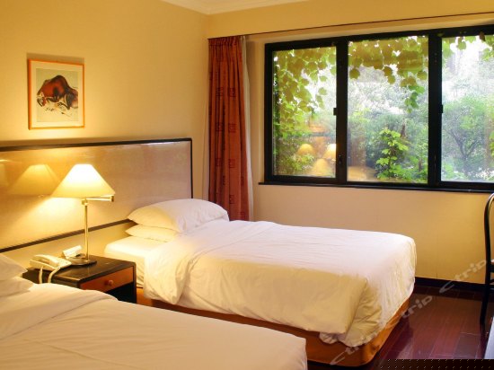 豪华套房（双床）