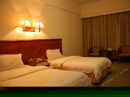 高级商务双床房