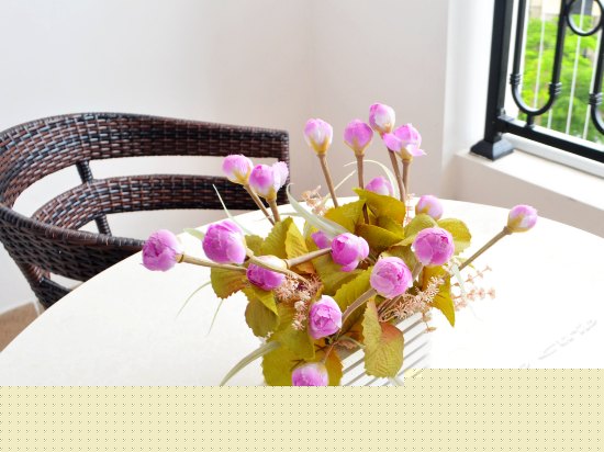 温馨双海景套房（二房二厅）