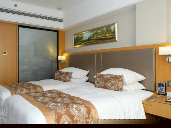 行政标准双床房