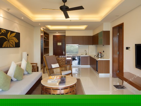 豪华园景套房（一房一厅）