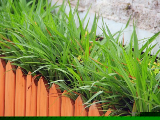 江景星空小木屋