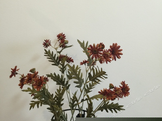 度假海景亲子房