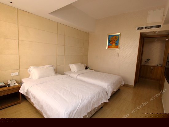 VIP豪华商务套房