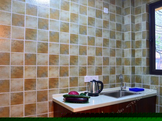 豪华山景单卧双床套房