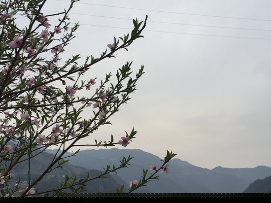 眺望远景