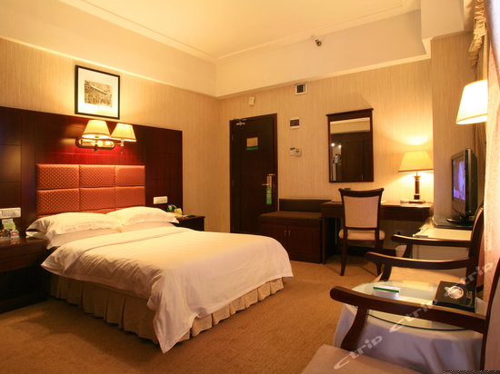 豪华单人房
